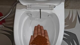 फोटो : व्हिडीओ ग्रॅब