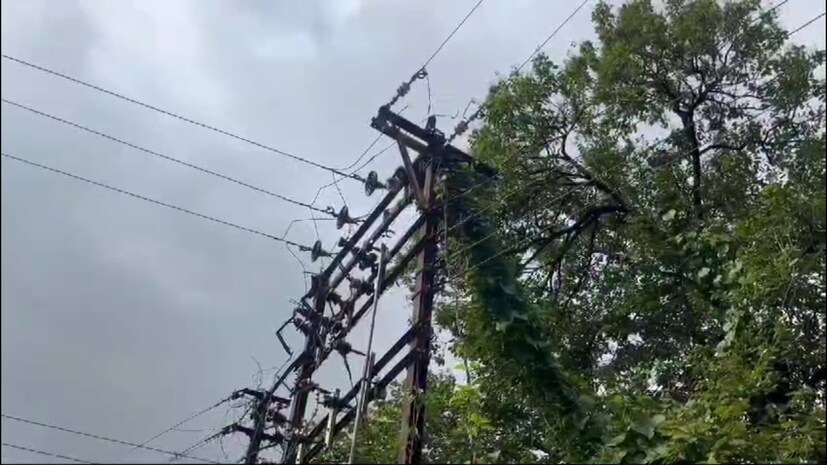 जिथं बिबट्या आणि माकड मृतावस्थेत आढळले तिथं विजेचा थांब आहे. वानराने बिबट्यापासून जीव वाचवण्यासाठी या खांबावर उडी मारली आणि त्याला शॉक लागला.