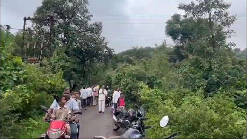 जानाई देवी मंदिराला जाणाऱ्या रस्त्यावरती ही घटना घडली आहे. वनविभागाच्या कर्मचाऱ्यांना याची माहिती मिळतात वनविभागाची टीम घटनास्थळी दाखल झाली.