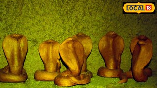 ही कामं नेमकं कोणती, जाणून घेऊया. 