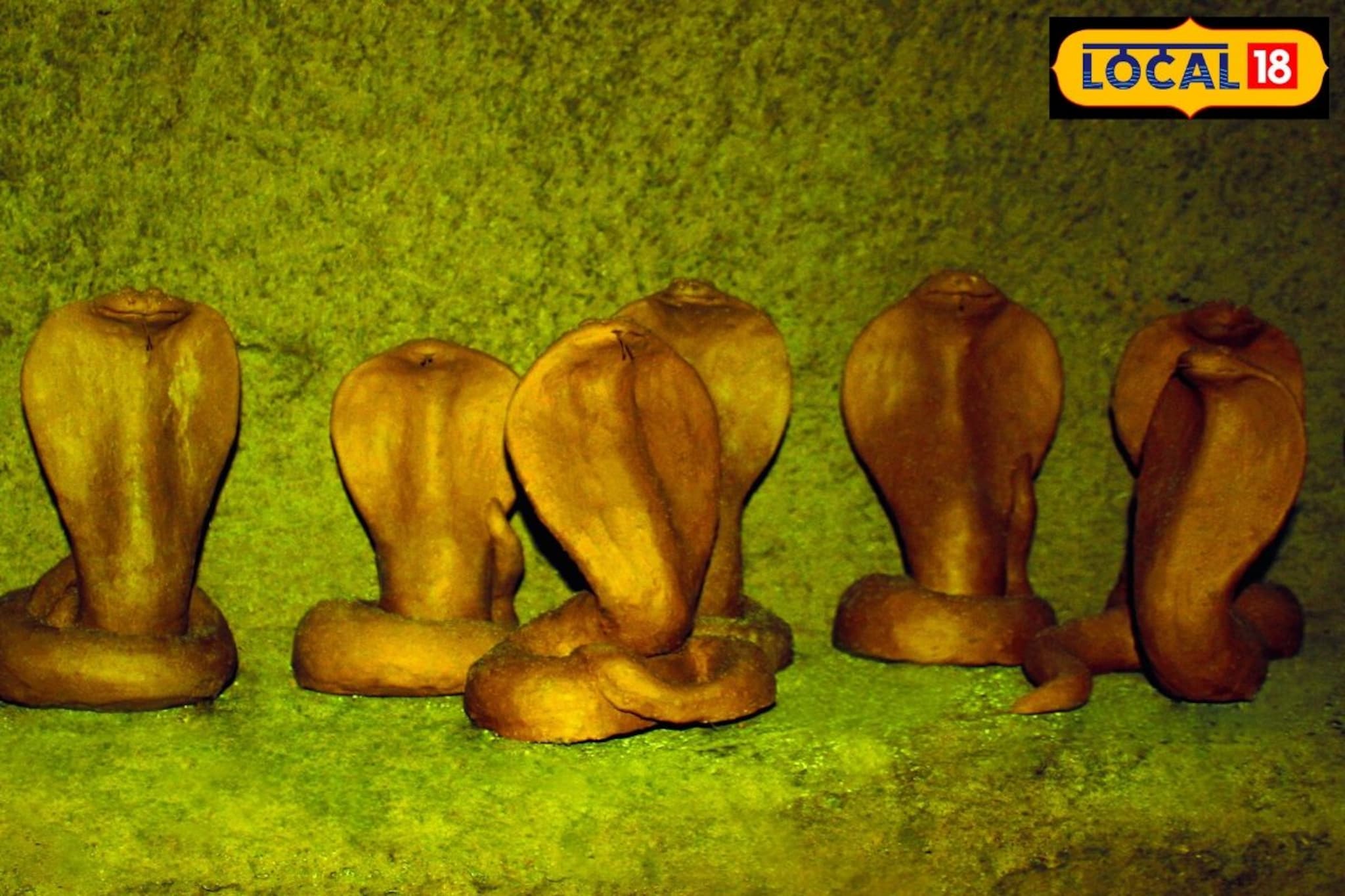 काही कामं नागपंचमीला चुकूनही करू नये, नाहीतर दुप्पटीनं वाढू शकतात अडचणी!