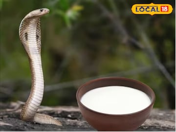 सापाच्या जवळ कसं जायचं? सापाच्या जवळ कसं जायचं?