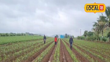 त्यांच्या