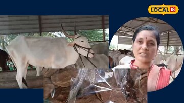 सोलापूर