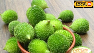 पूर्णपणे नैसर्गिक असल्यानं आरोग्यासाठी फायदेशीर. पूर्णपणे नैसर्गिक असल्यानं आरोग्यासाठी फायदेशीर.