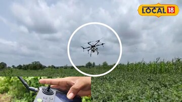 धाराशिवमध्ये