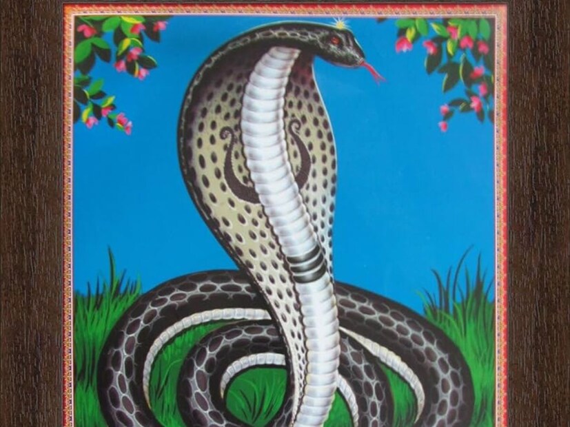नागपंचमीच्या दिवशी अनेक लोक जिवंत सापाला दूध पाजतात. तर हे करू नये. कारण दूध हे सापांसाठी विषासारखे आहे. त्यामुळे नागपंचमीच्या दिवशी मंदिरात जाऊन दूध अर्पण करावे.