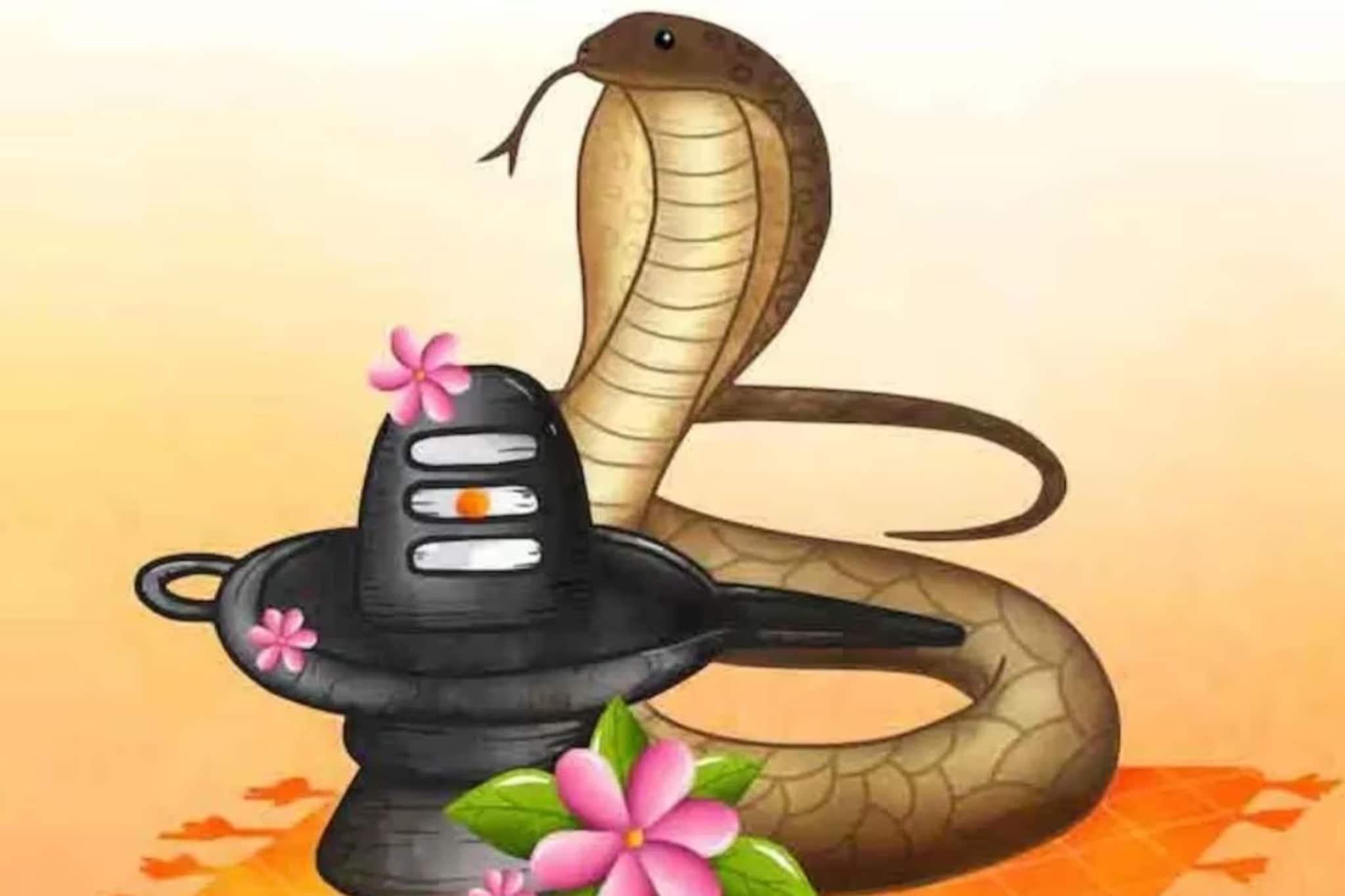 नागपंचमीला अतिशय शुभ योग; कालसर्प दोषापासून मुक्तीसाठी करा ही विशेष पूजा