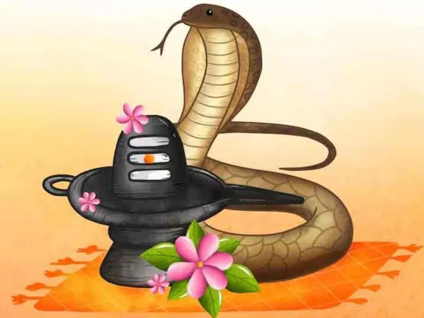 महाराष्ट्रातील गाव-खेड्यांमध्ये नागपंचमीच्या दिवशी स्त्रिया वारूळाला जातात. तिथे जाऊन वारूळाची विधिवत पूजा करतात. काही ठिकाणी नागपंचमीच्या आदल्या दिवशी उपवास देखील केला जातो. हा उपवास नागपंचमीच्या दिवशी वारूळाची पूजा करून आल्यानंतर सोडला जातो.