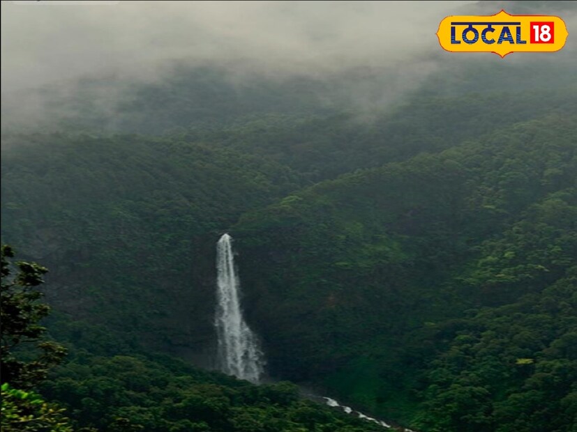 पर्यटनस्थळी जाणारे मार्ग बंद करावे, आवश्यकतेनुसार पोलीस बंदोबस्त नेमण्यात यावा. त्यासाठी होमगार्ड विभागाची मदत घ्यावी. नियमांचा भंग करणाऱ्यांविरोधात आवश्यक ती कठोर कारवाई करावी. संबंधित कार्यकारी दंडाधिकारी व उपविभागीय दंडाधिकाऱ्यांनी आपल्या स्तरावरून स्वतंत्र प्रतिबंधात्मक आदेश पारित करून त्यांची अंमलबजावणी करावी, असे आदेश देण्यात आले आहेत. त्याचबरोबर पोलीस विभाग, महसूल विभाग, वन विभाग, ग्रामविकास विभाग आणि नगरपालिका विभागांनी संयुक्तरित्या उक्त आदेशाची अमंलबजावणी तात्काळ करावी, असं जिल्हाधिकारी जितेंद्र डुडी यांनी म्हटलंय.