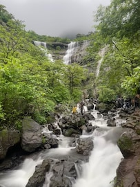 नाशिकमधील 5 बेस्ट धबधबे, कुटुंबासह जाऊन घेऊ शकता आनंद, नयनरम्य असं दृश्य, PHOTOS नाशिकमधील 5 बेस्ट धबधबे, कुटुंबासह जाऊन घेऊ शकता आनंद, नयनरम्य असं दृश्य, PHOTOS