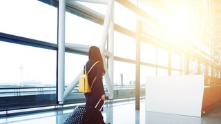 महिलेला अटक (प्रतिकात्मक फोटो) महिलेला अटक (प्रतिकात्मक फोटो)