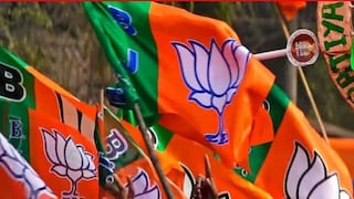 BJP Maharashtra Elections 2024 