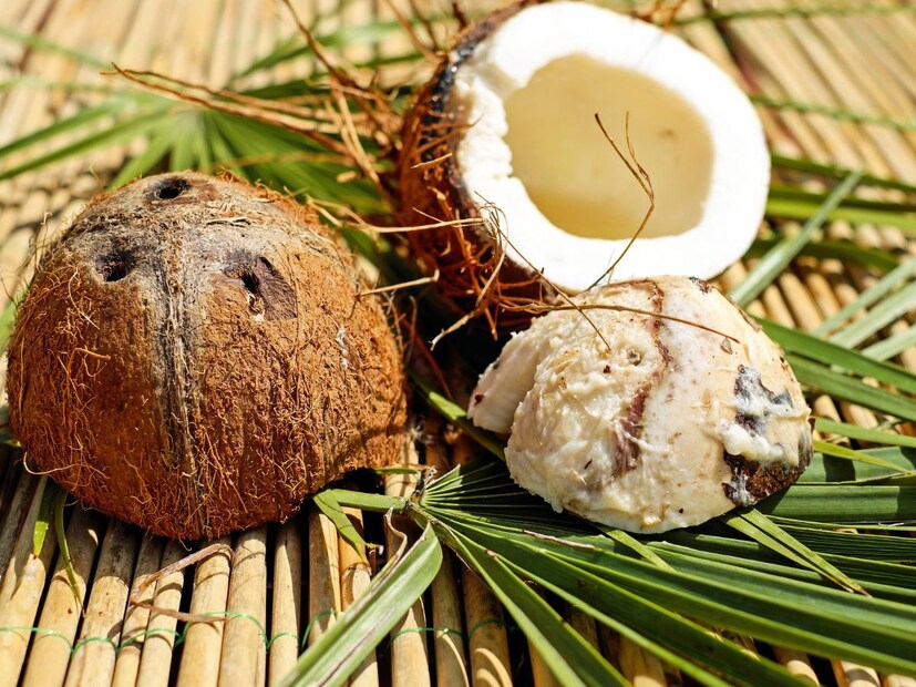 तुम्ही पाहिलं असेल नारळावर तीन काळे बिंदू असतात. त्यातील दोन माणसांच्या डोळ्यासारखे एका रांगेत तर तिसरा या दोन बिंदूंच्या खाली मधोमध असतो. अगदी माणसाचं तोंड आणि डोळ्यासारखीच ही रचना आहे.