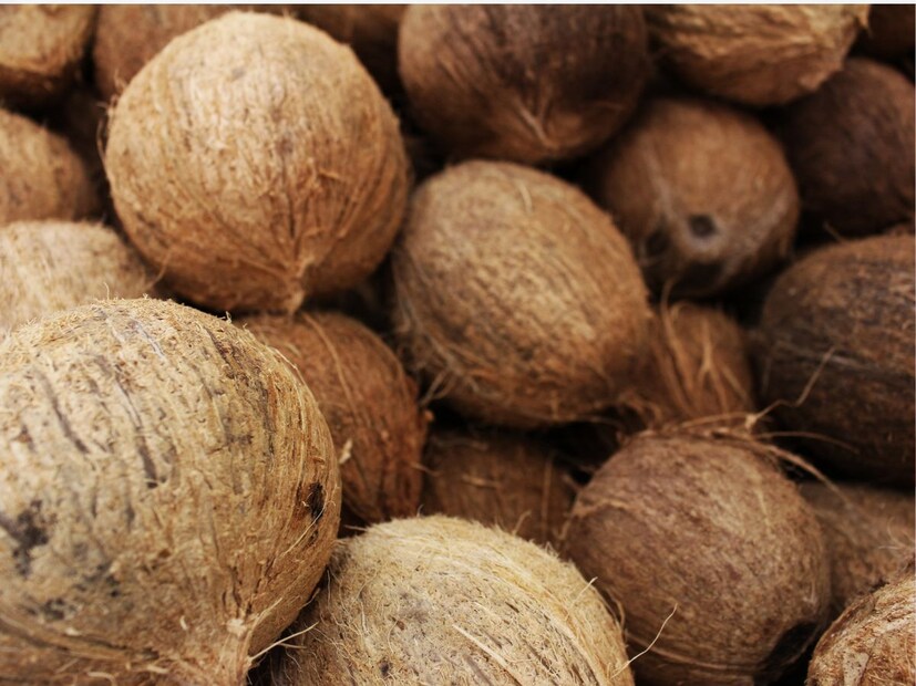 माणसासारखं तोंड आणि डोळे असणारं फळ तसं आपल्या प्रत्येकाच्या घरात असतं पण तरी त्याचं उत्तर अनेक जण देऊ शकणार नाही. हे फळ आहे नारळ.