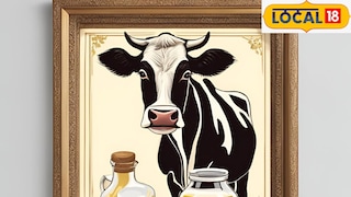 गायीच्या दुधाचे आणि तुपाचे फायदे अनेक आहेत (AI image) गायीच्या दुधाचे आणि तुपाचे फायदे अनेक आहेत (AI image)