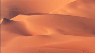 प्रतीकात्मक फोटो