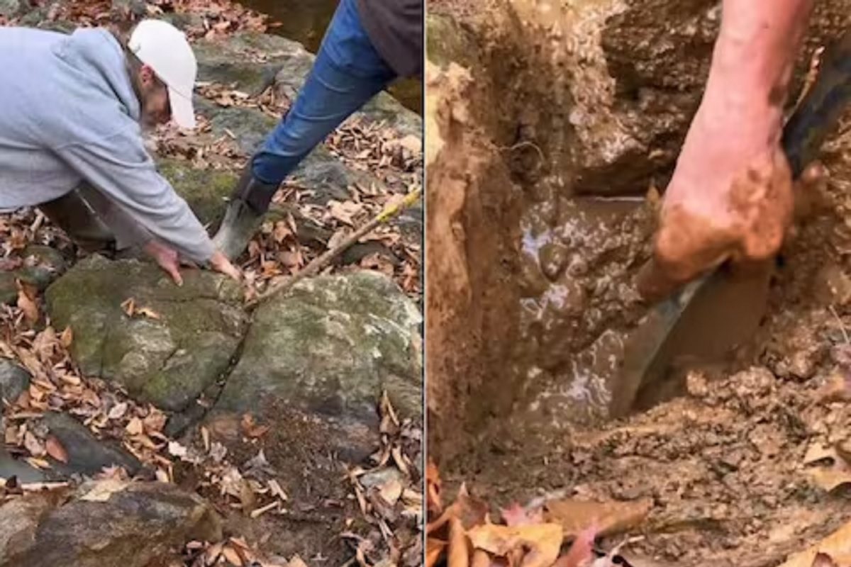 पहाड़ों में खोदी गई मिट्टी, पानी में फेंकी गई; और एक बड़ा खजाना मिल गया पहाड़ों में खोदी गई मिट्टी, पानी में फेंकी गई; और एक बड़ा खजाना मिल गया