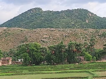 भारतात इथे आहे मालामाल करणारा डोंगर; पावसाळ्यात याच्या पायथ्याशीच थांबतात गावकरी भारतात इथे आहे मालामाल करणारा डोंगर; पावसाळ्यात याच्या पायथ्याशीच थांबतात गावकरी