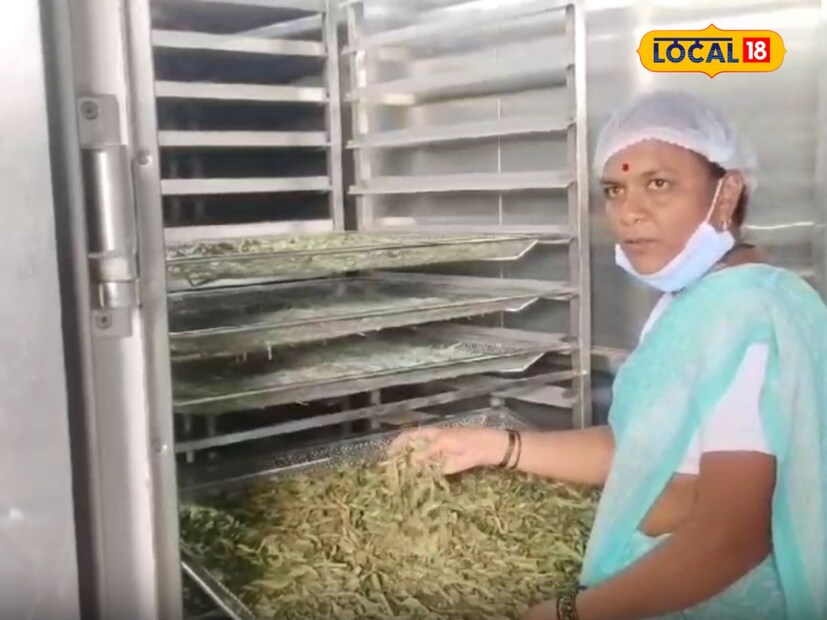 कढीपत्त्यामध्ये नैसर्गिक गुण आहे. सहजासहजी लोक कढीपत्ता खात नाही उलट तो कढीपत्ता जेवणामधून बाहेर काढून टाकला जातो. पण कढीपत्त्यामध्ये असणारे लोह, मिनरल, कॅल्शियम हे घटक असतात हे घटक काढून टाकू नये यासाठी शेतकरी हनुमंत कुचेकर यांनी आपल्या कल्पनेनुसार पावडर फोममध्ये माणसाच्या शरीरामध्ये कढीपत्ता कसा उपयोगाला येईल याचा प्रयत्न केला आहे. नुसता कडीपत्ता नव्हे तर कढीपत्ता चटणी, सफरचंद पावडर, केळी पावडर अशा प्रकारचे पावडर तयार करून युके, टांझानिया, एरोबिया आणि सौदी अरेबिया या देशांमध्ये आज रोजी निर्यात करत आहेत. 