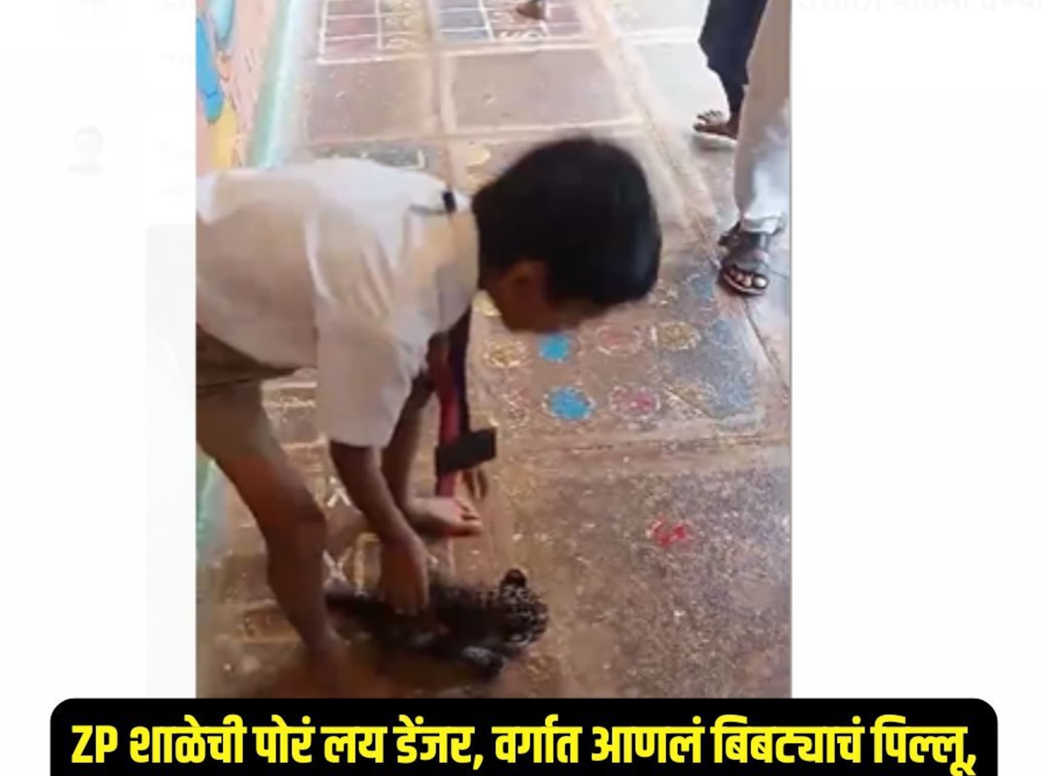  Video : zp च्या शाळेतील मुलांनी अंगाखांद्यावर खेळवलं बिबट्याचं पिल्लू