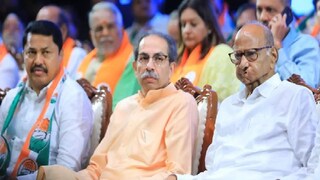 बंडखोर, अपक्षांचा मविआला झटका, किती मतदारसंघात बसली पराभवाची झळ?