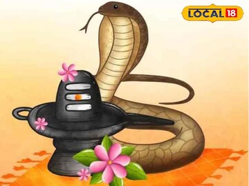 श्रद्धा असावी, अंधश्रद्धा नको! नागाला दूध पाजावं का? सर्पमित्रांनी दिली महत्त्वा