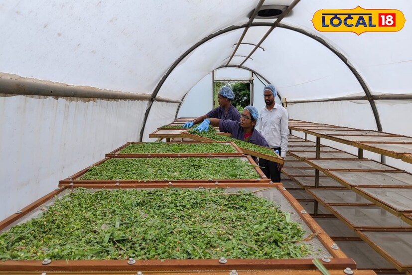 शतावरी कल्प, लहान मुलांसाठी सत्वफल, खेळाडूंसाठी टॉनिक वीटा, शतावरी कुकीज, अश्वगंधा पावडर, शतावरी पावडर, सुंठ, हळद पावडर, लेमन ग्रास, आवळा कॅन्डी, अशी 15 हून अधिक प्रकारची उत्पादनं या कंपनीत बनवली जातात. सोशल मीडियाच्या माध्यमातून ते या प्रॉडक्ट्सची जाहिरात करतात. तसंच कृषी विभागाकडून आयोजित केलेल्या विविध प्रदर्शनांमध्येही ते सहभागी होतात. त्यामुळे त्यांनी उत्पादित केलेल्या मालाला उत्तम मागणी मिळते.