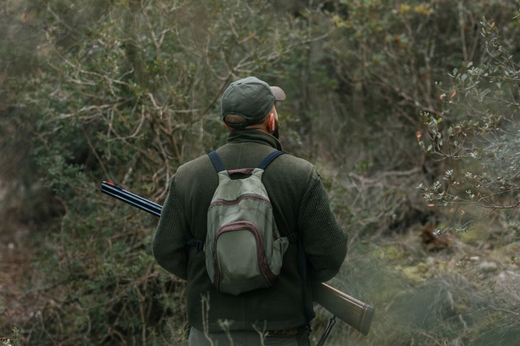 बिहारमध्ये दिसताक्षणी या प्राण्यांना गोळ्या घालण्याचे आदेश; खास शूटर मागावले