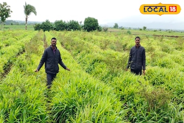 आई-वडिलांचं छत्र हरपलं, 2 भावांनी माळरानाला फोडला पाझर, वर्षाची कमाई 30 लाखांची!