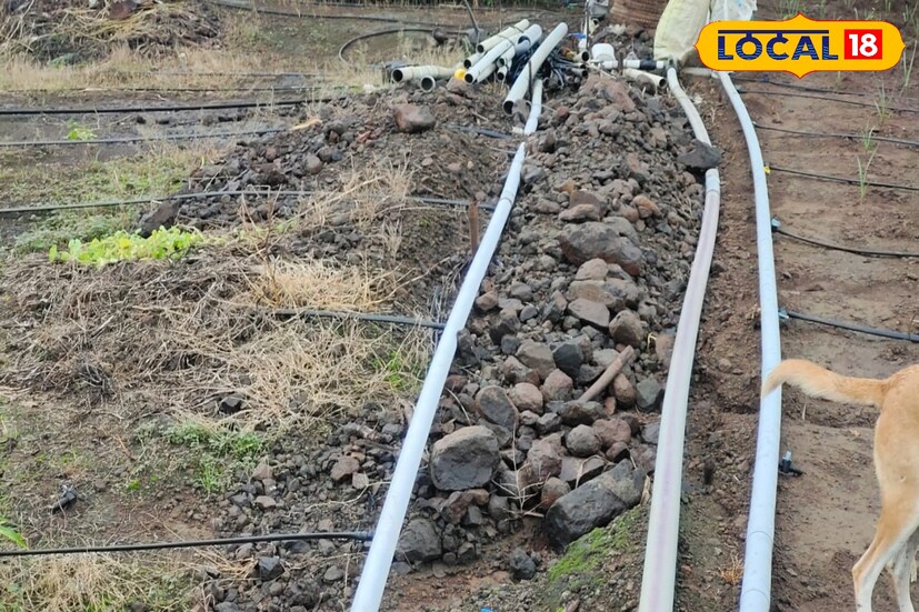 अनेक अडचणींचा सामना करावा लागला, मात्र त्यांनी हार मानली नाही. शेतात वेगवेगळे प्रयोग केले आणि ऊसाचं उत्पादन घेतलं. पाठोपाठ आल्याचंही उत्पादन घेतलं. त्यानंतर भाजीपाला शेतीला सुरूवात केली. हळूहळू त्यांना चांगलं उत्पन्न मिळत गेलं.