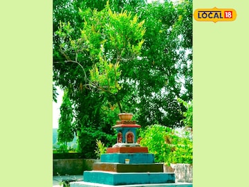 प्रतिकात्मक फोटो प्रतिकात्मक फोटो