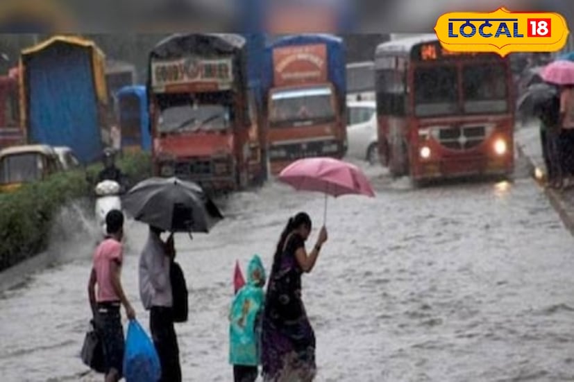 विदर्भासह मध्य महाराष्ट्र, मराठवाड्यातही मुसळधार ते अती मुसळधार पावसाची शक्यता हवामान विभागाकडून वर्तवण्यात आली आहे. त्यामुळे नागरिकांना योग्य ती काळजी घ्यावी लागणार आहे.