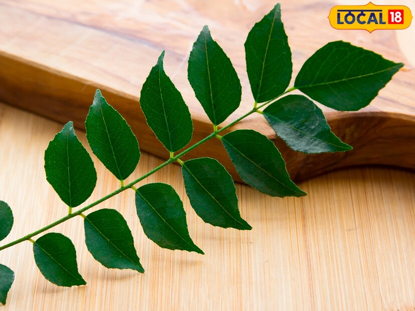 कढीपत्त्याला मोठ्या प्रमाणात प्रतिसाद मिळायला लागल्यानंतर उत्पादन क्षमता कमी झाली. मग त्यांनी प्रधानमंत्री सूक्ष्म अन्न प्रक्रिया योजनेतून घेतलेल्या कर्जामधून 500 ते 1000 किलोच्या क्षमतेनं मशिनरी घेऊन व्यवसायाची वाढ करण्याचा प्रयत्न केला. पुढे त्यांनी स्वत:ची वेबसाइट तयार केली. त्यामुळे त्यांची भारताबाहेरही ओळख झाली. 