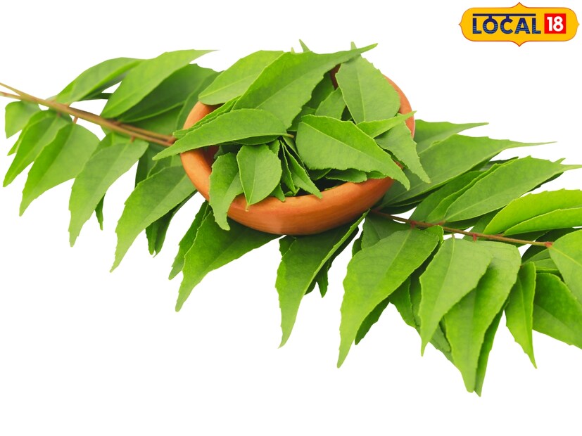 परदेशातील ग्राहक चक्क हणमंत यांच्या बांधावर येऊन भेट देऊ लागले. शिवाय मोठमोठ्या ऑर्डर्स मिळायलाही सुरूवात झाली.