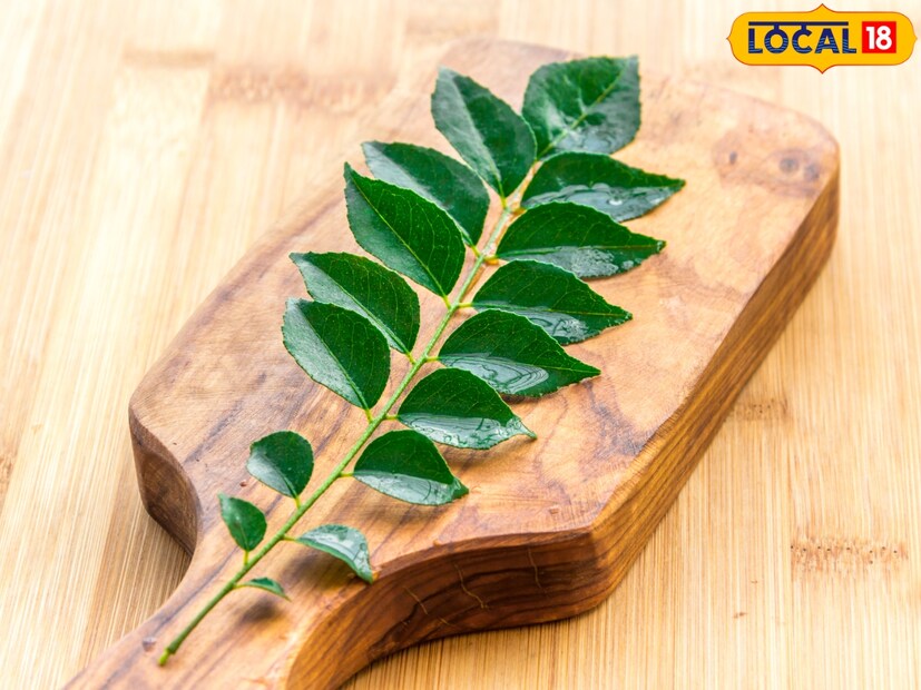 आज ते केवळ कढीपत्ता नाही, तर कढीपत्ता चटणी, सफरचंद पावडर, केळी पावडर असे वेगवेगळे प्रॉडक्ट्स युके, टांझानिया, सौदी अरेबिया, इत्यादी देशांमध्ये निर्यात करतात.