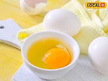 अंड्याचं बलक खरंच घातक? सत्य समजल्यावर आजपासून कराल खायला सुरूवात