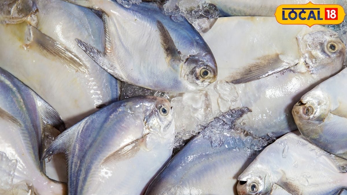 Marathi Fish Malad Fish Market Fish Price | मुंबई बातम्या (Mumbai News) - News18 Marathi