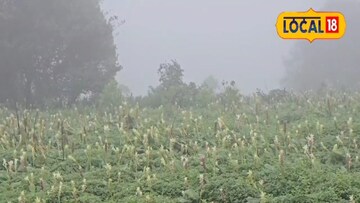 कासपठार