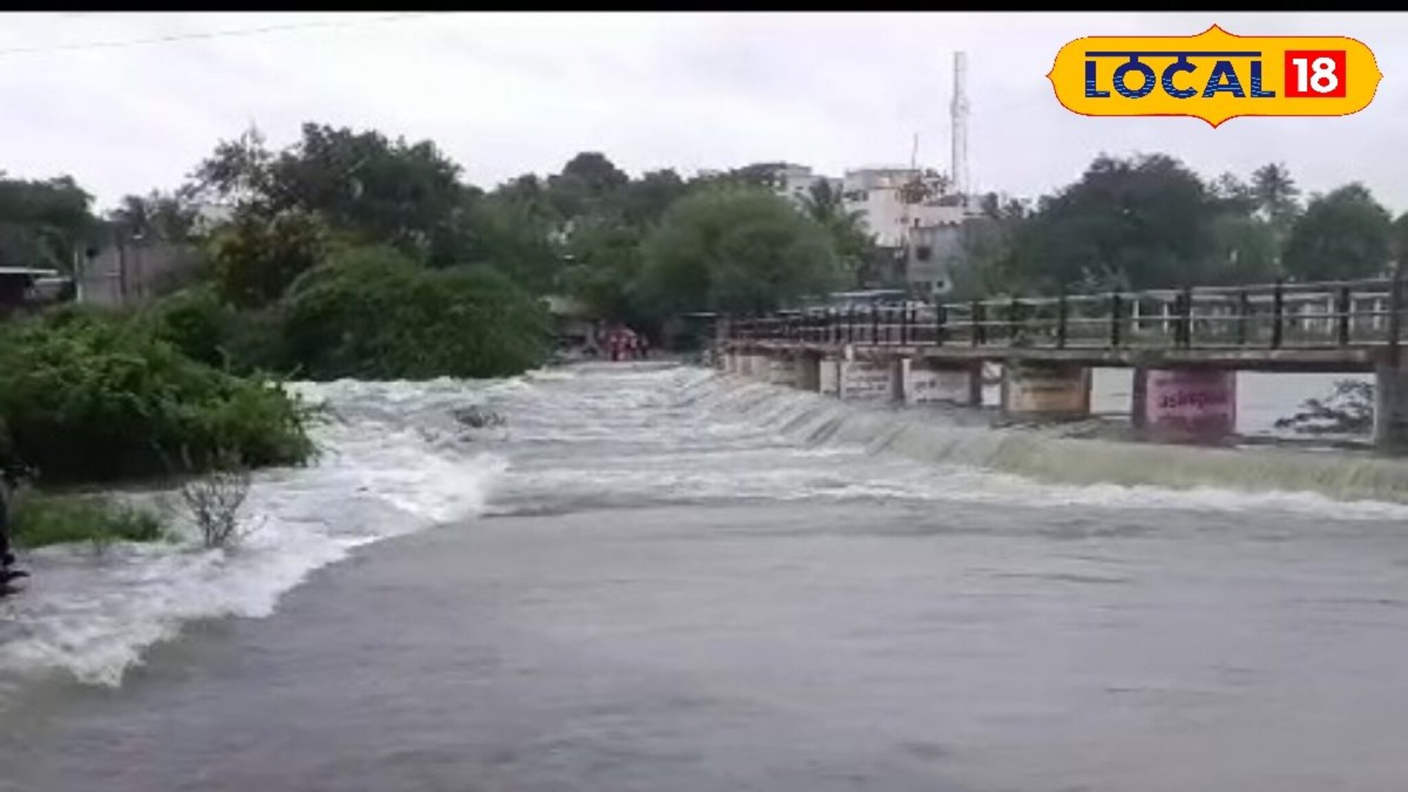 धाराशिव जिल्ह्यात मागील 28 तासांपासून सतत संततधार; नद्या, ओढे तुडुंब, VIDEO