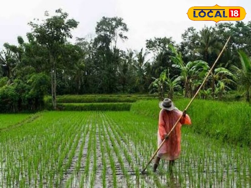 मुसळधार पावसामुळे पुन्हा पिकांचं नुकसान होऊ नये यासाठी शेतकऱ्यांनी काढलेला माल सुरक्षित ठेवावा. तसंच बदलत्या वातावरणात सर्वांनी आपापलं आरोग्य जपणं आवश्यक आहे.