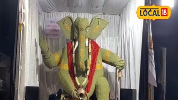 बडीशेपची