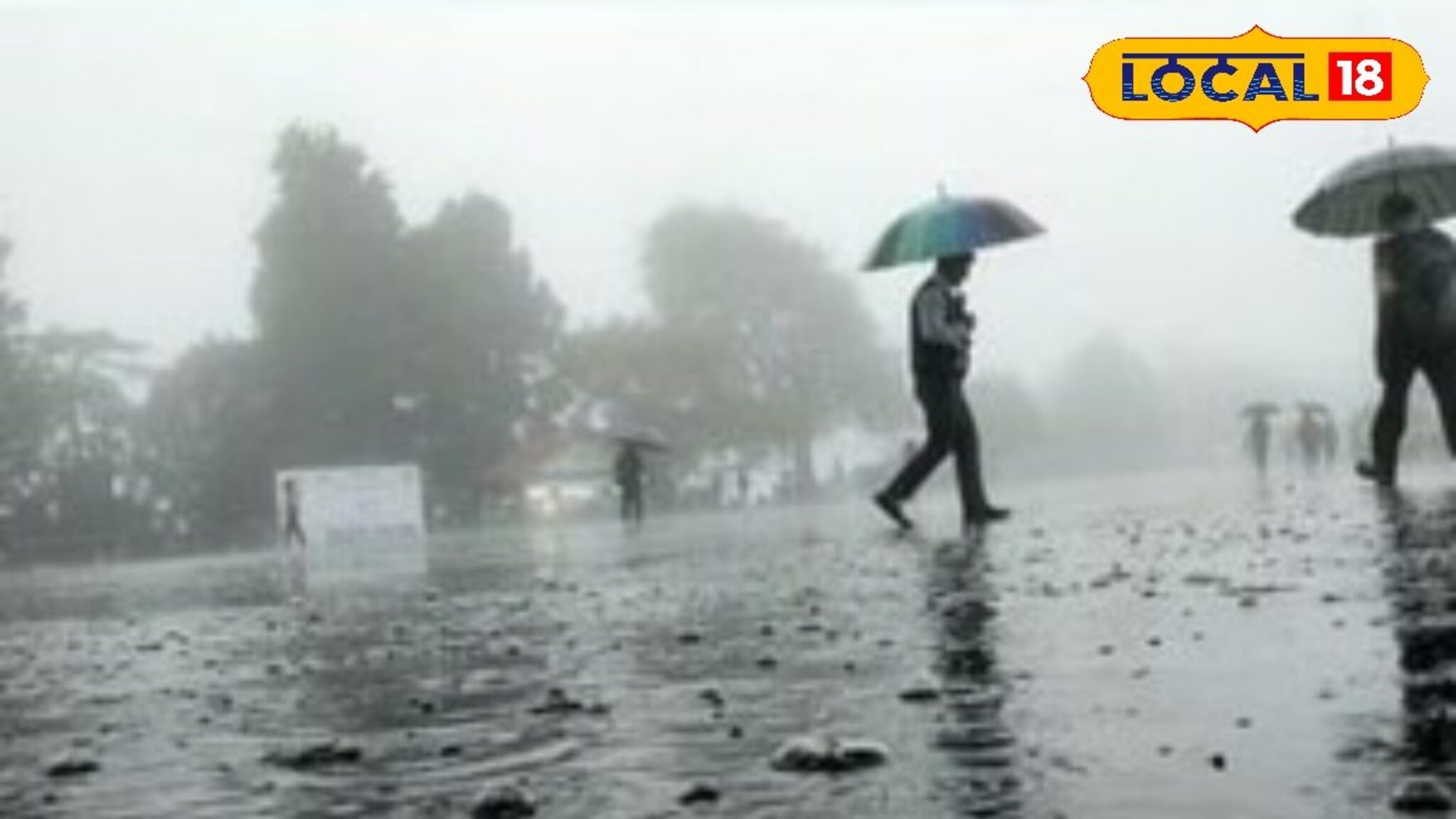 गौरी विसर्जनाला पावसाची हजेरी, पश्चिम महाराष्ट्रातील 2 जिल्ह्यांना IMD चा अलर्ट