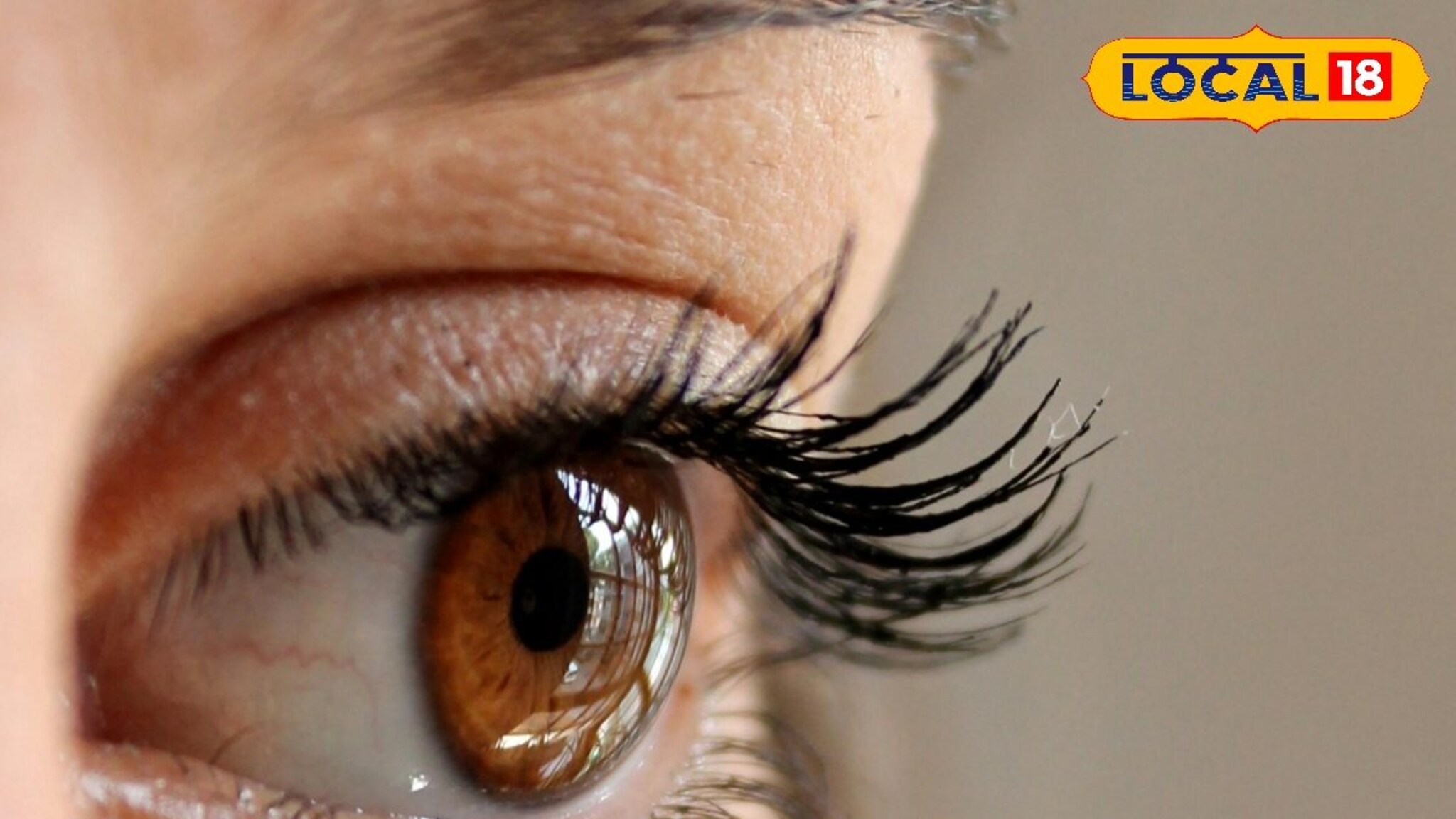 Eye Tips : पावसाळ्यात डोळ्यांची काळजी कशी घ्याल, डॉक्टरांनी दिली तुमच्यासाठी महत्त्वाची माहिती, VIDEO