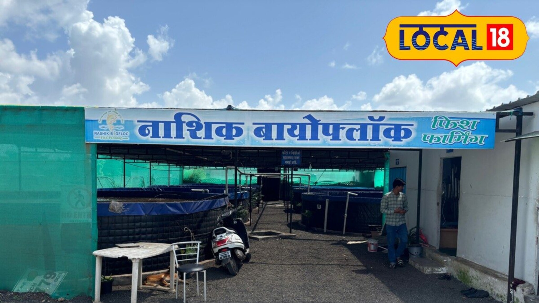 Fish Farming : मत्स्यपालनातून नाशिकचा शेतकरी घेतोय महिन्याला 4 ते 5 लाखांचं उत्पन्न, VIDEO