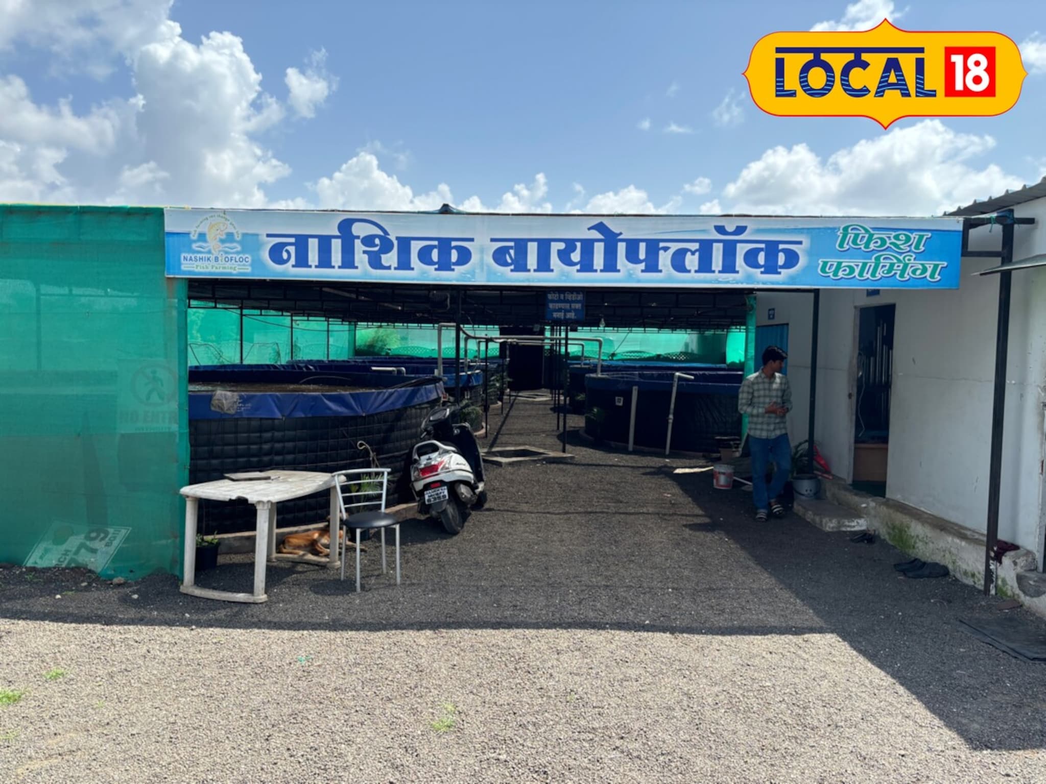 Fish Farming : मत्स्यपालनातून नाशिकचा शेतकरी घेतोय महिन्याला 4 ते 5 लाखांचं उत्पन्न, VIDEO