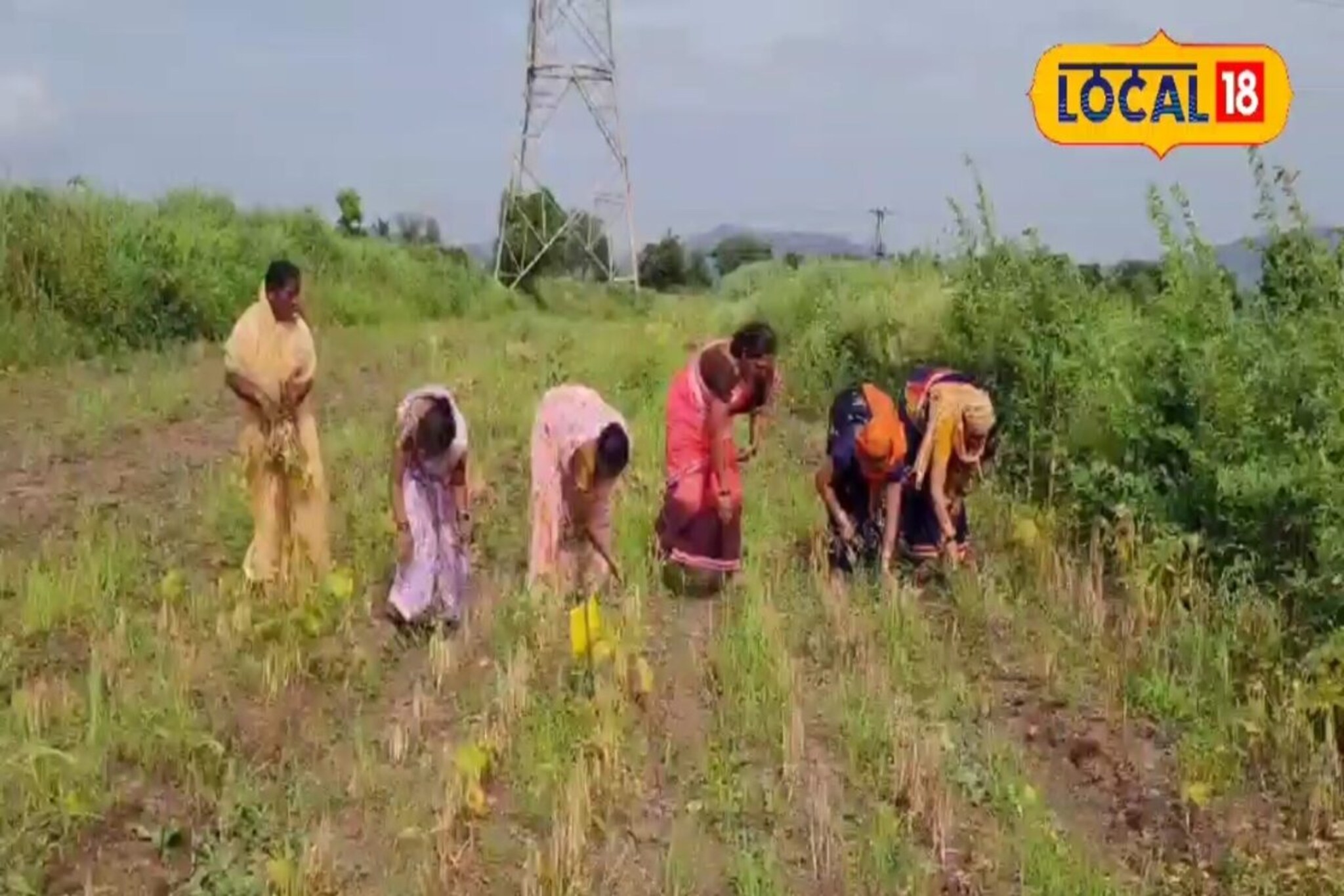 शेकडो वर्षांची परंपरा मोडीत काढली, महिला झाल्या प्रगतशील शेतकरी, तीन महिन्यात...
