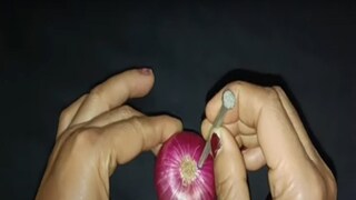 फोटो : व्हायरल व्हिडीओ ग्रॅब