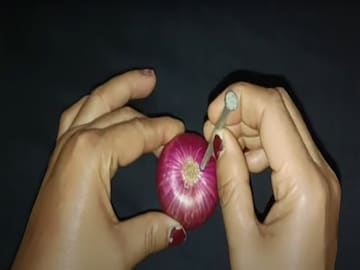 फोटो : व्हायरल व्हिडीओ ग्रॅब