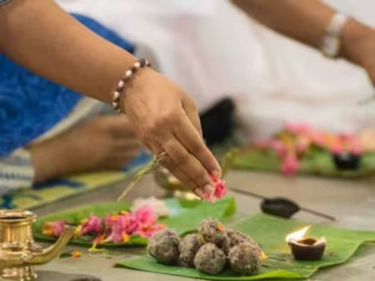 Amavasya 2025: पितृदोषातून कुटुंबाची सुटका! पौष दर्श अमावस्येला या मंत्राचा जप लाभदायी | अध्यात्म - News18 मराठी